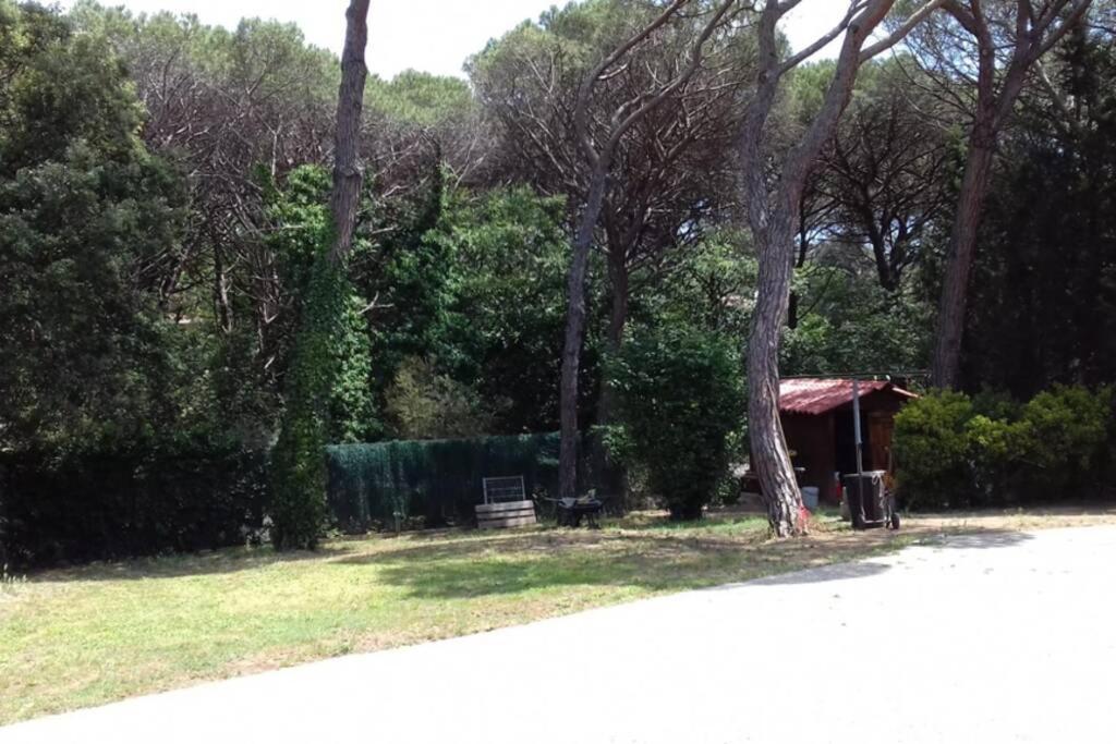Casa En Parque Natural Del Montseny. Santa María de Palautordera 外观 照片